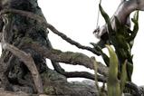 11-El-Seor-de-los-Anillos-Estatua-16-Smagol--Dagol-A-Shadow-of-the-Past-Edi.jpg