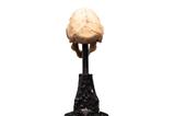08-El-Seor-de-los-Anillos-Estatua-Skull-of-a-Moria-Orc-13-cm.jpg