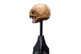 06-el-seor-de-los-anillos-estatua-skull-of-gollum-13-cm.jpg