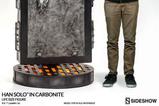 06-estadua-life-size-han-solo-in-carbonite.jpg