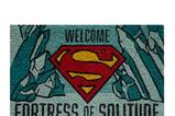 04-felpudo-fortress-of-solitude.jpg