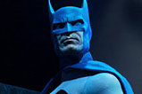 01-figura-batman-edicion-limitada-dc-universe.jpg