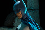 02-figura-batman-edicion-limitada-dc-universe.jpg