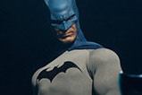 03-figura-batman-edicion-limitada-dc-universe.jpg