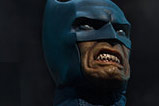 05-figura-batman-edicion-limitada-dc-universe.jpg
