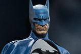 07-figura-batman-edicion-limitada-dc-universe.jpg