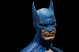 08-figura-batman-edicion-limitada-dc-universe.jpg