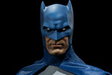 09-figura-batman-edicion-limitada-dc-universe.jpg