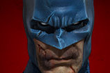 11-figura-batman-edicion-limitada-dc-universe.jpg