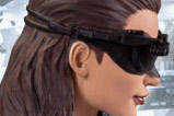 03-Figura-Catwoman-The-Dark-Knight-Rises-DC.jpg