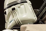 02-Figura-Deluxe-Shiny-Clone-Trooper-Star-Wars.jpg