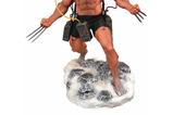 01-Figura-Diorama-Weapon-X-Marvel.jpg
