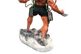 02-Figura-Diorama-Weapon-X-Marvel.jpg