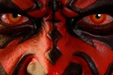 09-Figura-DX-Series-Darth-Maul.jpg