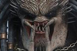 05-Figura-Elder-Predator-MovieMasterPiece.jpg