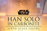 02-figura-Han-Solo-en-Carbonita-premium-star-wars.jpg