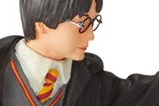 02-Figura-Harry-Potter-year-one.jpg