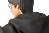 04-Figura-Harry-Potter-year-one.jpg