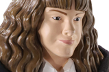 01-Figura-hermione-Maleable-Bendyfigs.jpg