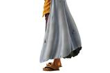 03-figura-ichibansho-silvers-rayleigh-beyond-the-trials.jpg