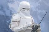11-Figura-Imperial-Remnant-Snowtrooper-Movie-Masterpiece.jpg