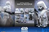 14-Figura-Imperial-Remnant-Snowtrooper-Movie-Masterpiece.jpg