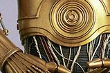 07-figura-life-size-C-3PO.jpg