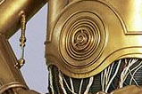 11-figura-life-size-C-3PO.jpg