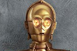 15-figura-life-size-C-3PO.jpg