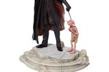 02-figura-lucius-y-dobby.jpg
