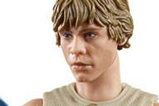 04-Figura-Luke-Skywalker-y-Yoda.jpg