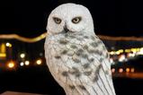 01-figura-magical-creatures-hedwig-harry-potter.jpg