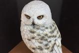 02-figura-magical-creatures-hedwig-harry-potter.jpg