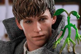 06-Figura-Masterpiece-Newt-Scamander.jpg