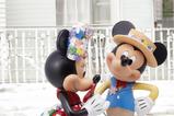 02-figura-mickey-minnie-botanica.jpg