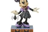 02-Figura-Minnie-in-Spider-Dress.jpg