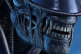 01-Figura-Movie-Masterpiece-Alien-Warrior.jpg