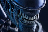 02-Figura-Movie-Masterpiece-Alien-Warrior.jpg