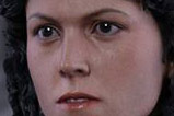 08-Figura-Movie-Masterpiece-Ellen-Ripley-Alien.jpg