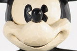 01-Figura-Plane-Crazy-Mickey-Mouse.jpg