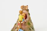 04-figura-pooh-y-amigos.jpg