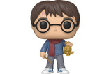 03-figura-pop-harry-potter-holiday-harry-potter-108260.jpg