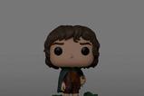02-figura-pop-plus-frodo-baggins.jpg
