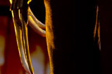 06-figura-premium-format-freddy-krueger.jpg