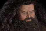 03-Figura-Rubeus-Hagrid-HarryPotter.jpg