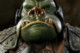 04-figura-Star-Wars-Gamorrean-Guard.jpg