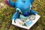 02-figura-stitch-buscando-familia.jpg