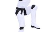 06-Figura-Stormtrooper-Patada-de-Grulla.jpg