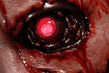 03-figura-terminator-T800-Battle-Damaged.jpg