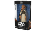 03-figura-tessek-return-of-the-jedi-star-wars-black-series-15cm-213600.webp